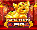 Golden Pig